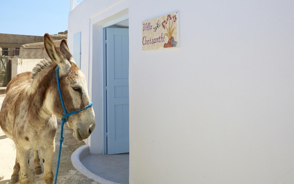 Chrisanthi Villa Pýrgos 部屋 写真